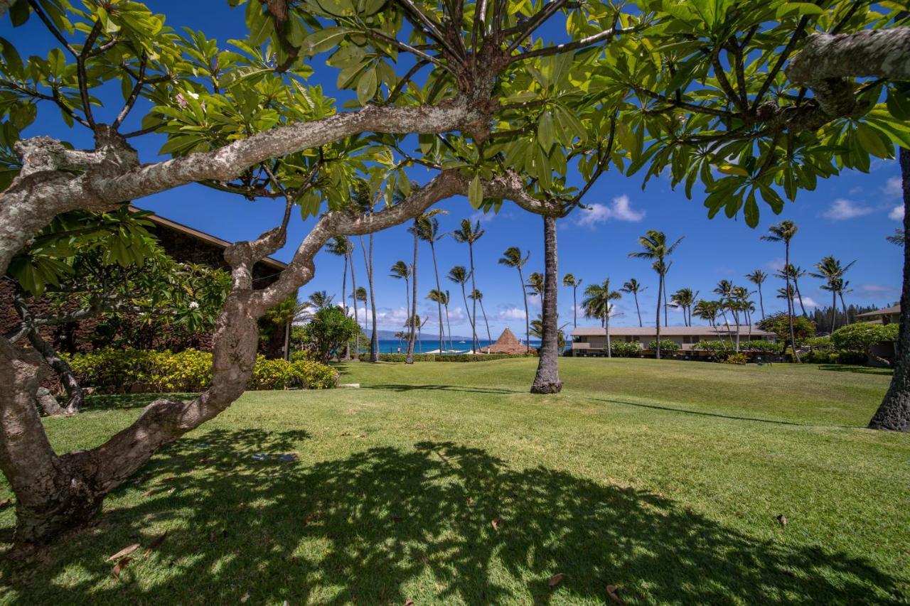 Napili Shores Maui By Outrigger - No Resort & Housekeeping Fees Lahaina Zewnętrze zdjęcie