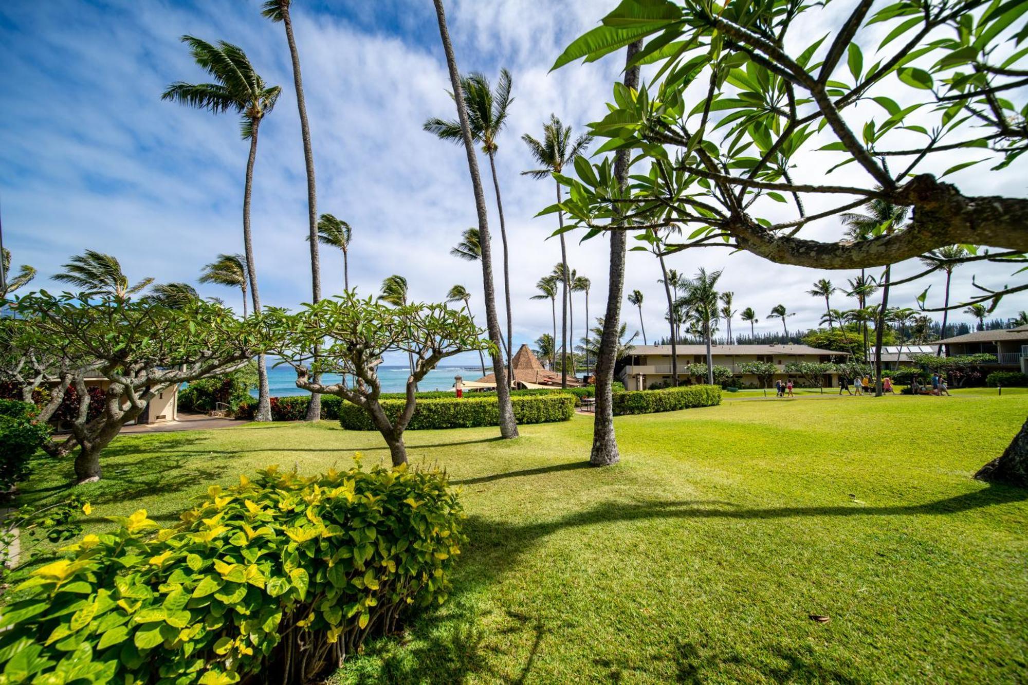 Napili Shores Maui By Outrigger - No Resort & Housekeeping Fees Lahaina Pokój zdjęcie